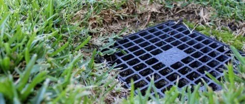 Trusted landscape design experts serving Houston, TX - Earth Ideas Outdoors