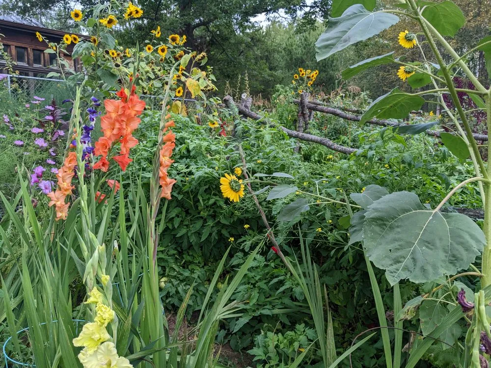 Professional landscaping services in Hackensack, MN - Earth Is Our Home Environmental Solutions