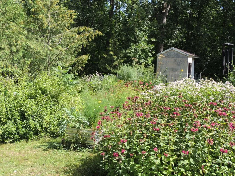 Affordable landscape installation in Hackensack, MN by Earth Is Our Home Environmental Solutions