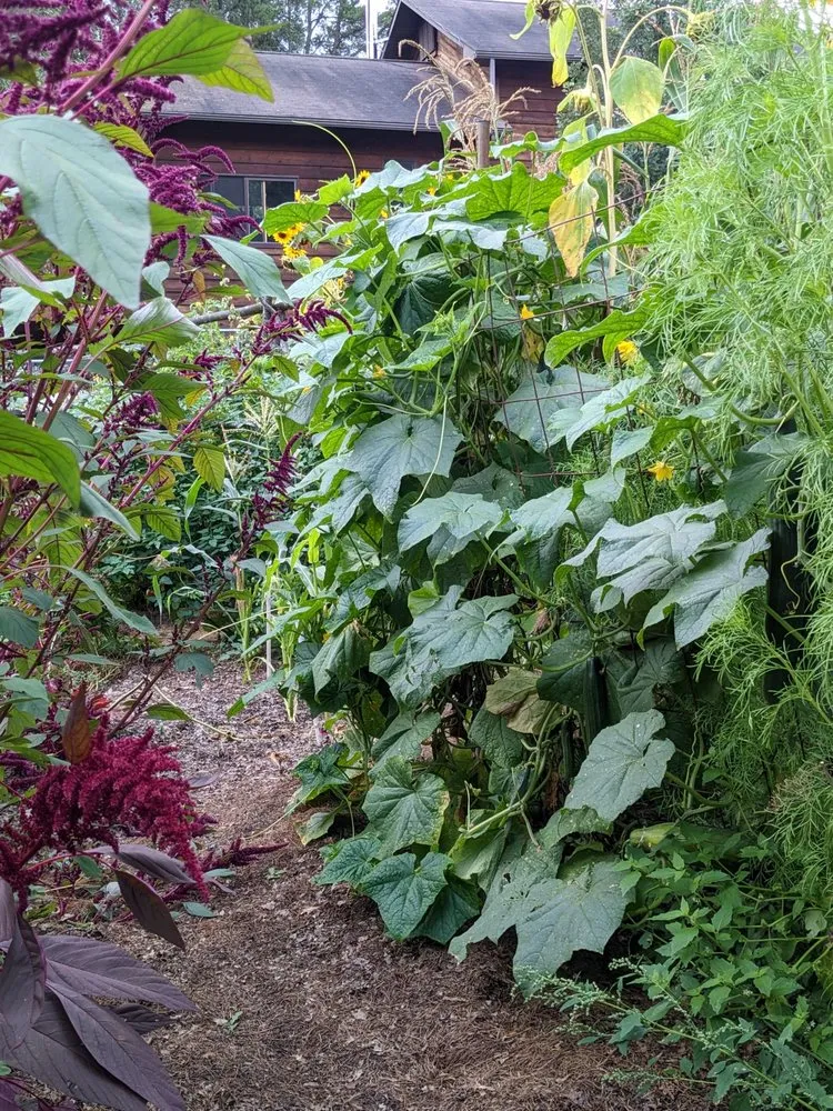 Trusted yard cleanup service for beautiful yards in Hackensack, MN by Earth Is Our Home Environmental Solutions