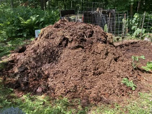 Earth Is Our Home Environmental Solutions