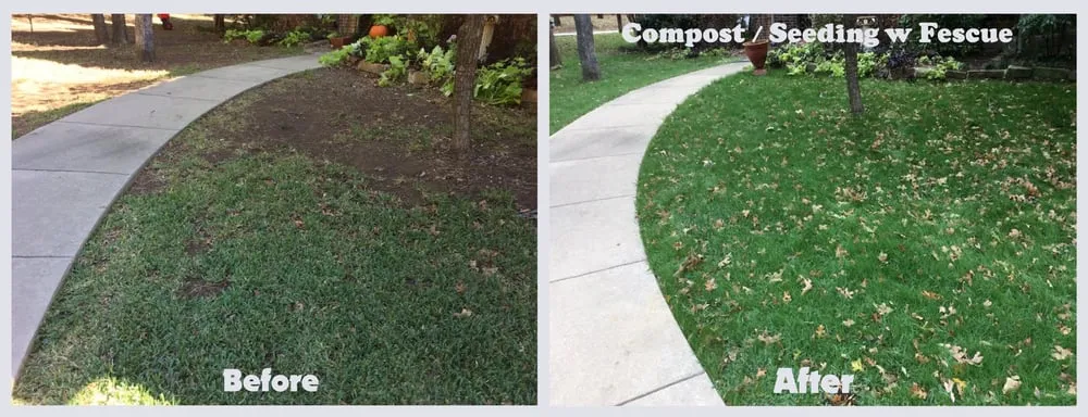 Local garden landscaping experts serving Denton, TX - Earth Kind Services