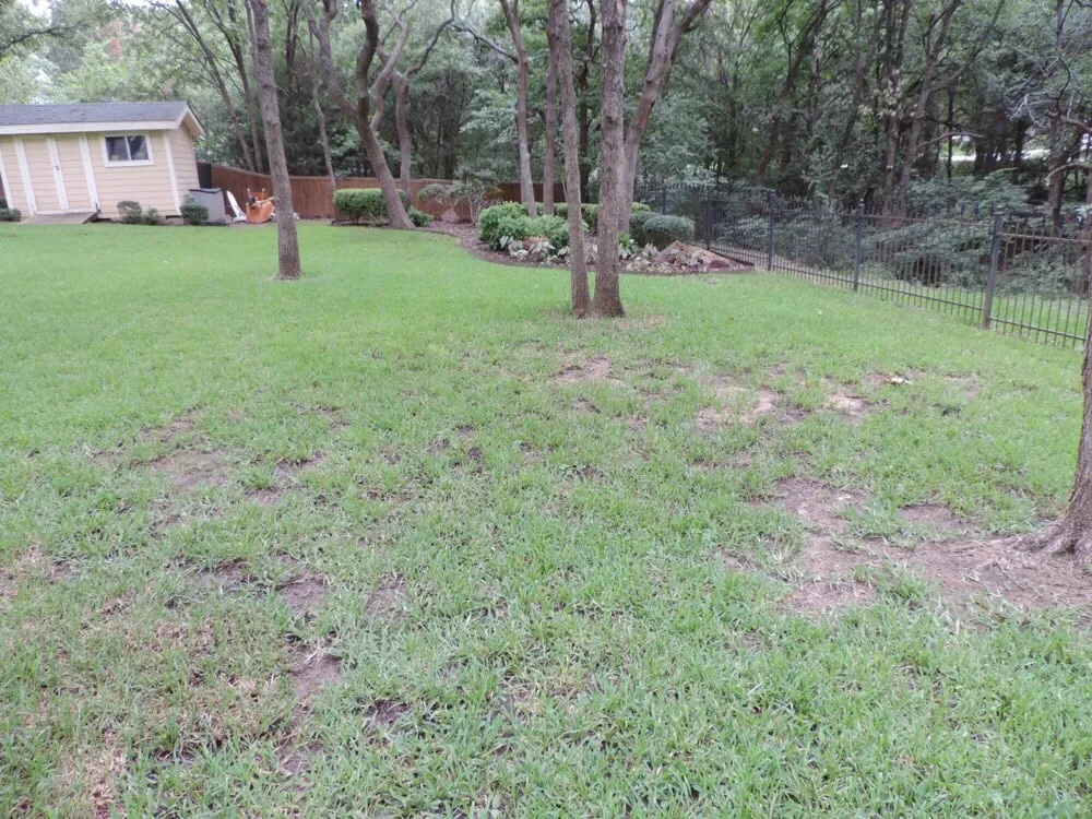 Top-rated yard maintenance in Denton, TX - Earth Kind Services