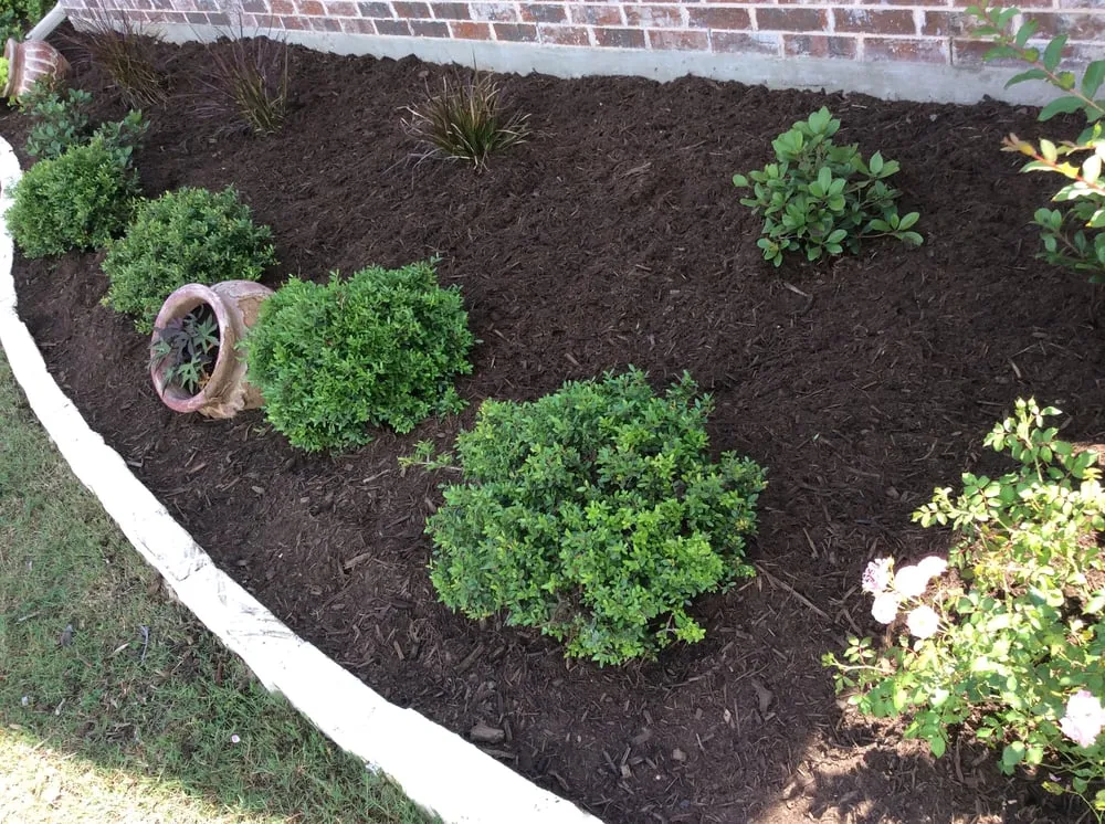 Affordable yard maintenance for homes across Denton, TX - Earth Kind Services