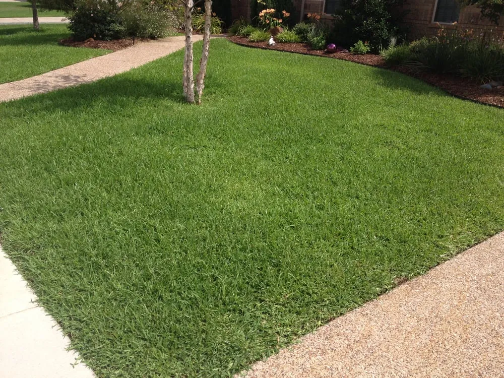 Local residential landscaping in Denton, TX - Earth Kind Services