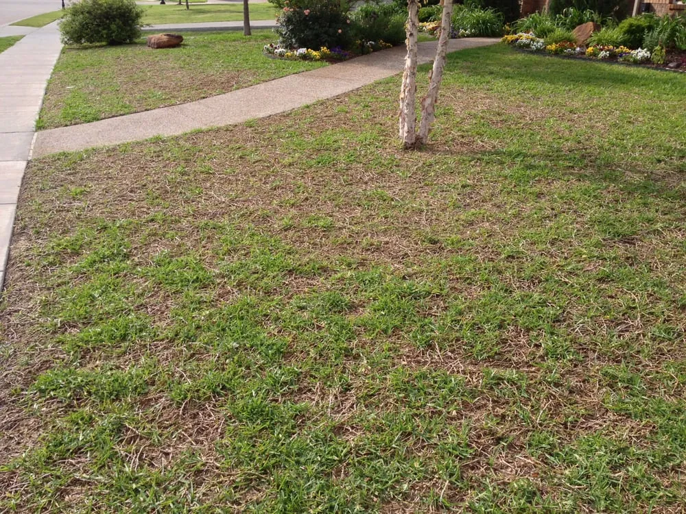 Trusted landscape installation for beautiful yards in Denton, TX by Earth Kind Services