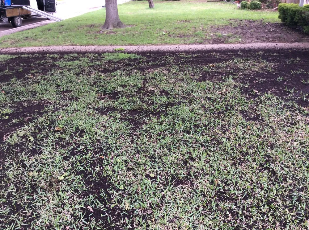 Local landscape design for residential properties in Denton, TX by Earth Kind Services