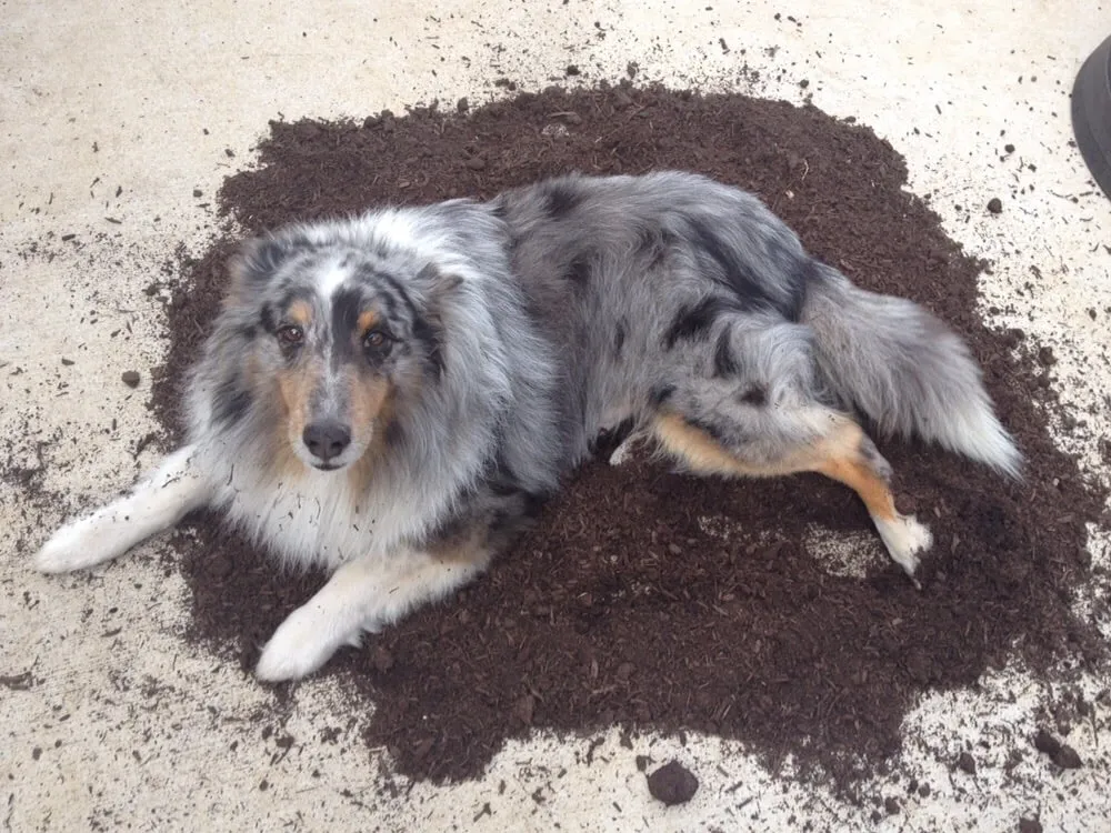 Trusted garden landscaping in Denton, TX by Earth Kind Services