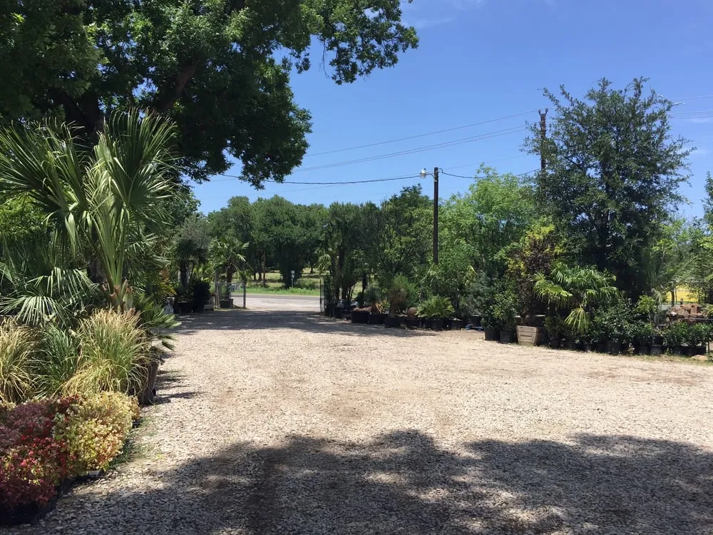 Affordable residential landscaping experts serving Benbrook, TX - Earth-Land Gardeners & Rustics