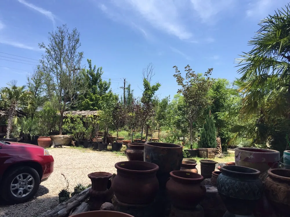 Local yard maintenance experts serving Benbrook, TX - Earth-Land Gardeners & Rustics