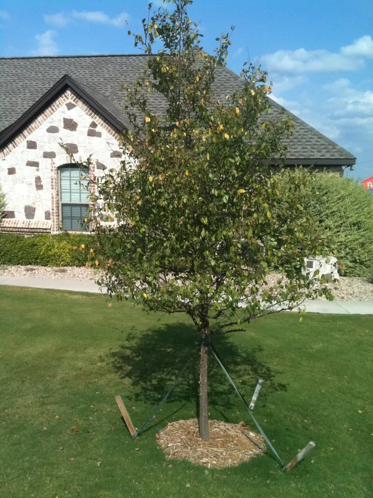 Expert outdoor landscaping for homes in Benbrook, TX by Earth-Land Gardeners & Rustics