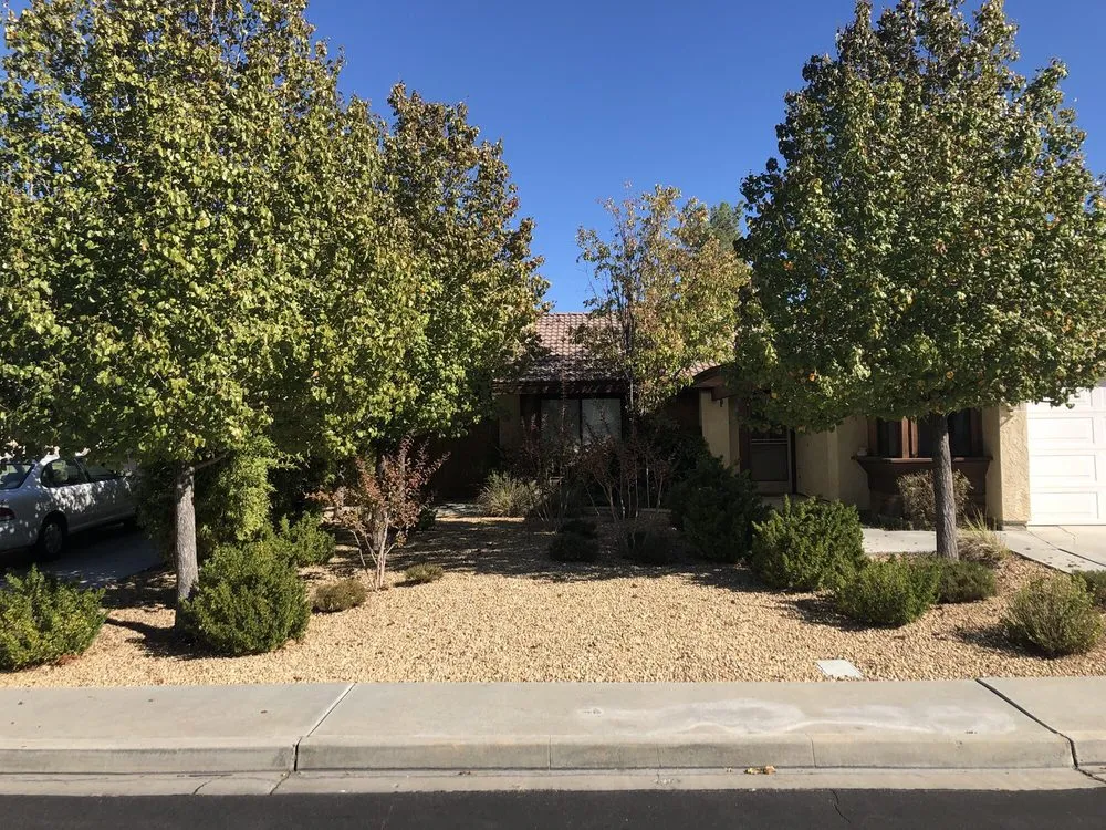 Top-rated landscaping services near you in Ridgecrest, CA by Earth Landscape & Maintenance