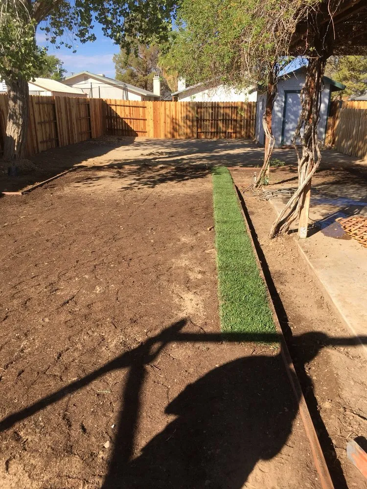 Local yard cleanup service experts serving Ridgecrest, CA - Earth Landscape & Maintenance
