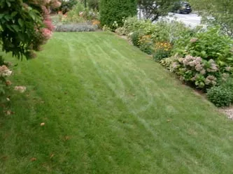 Affordable landscape design in Salem, MA - Earth Landscape