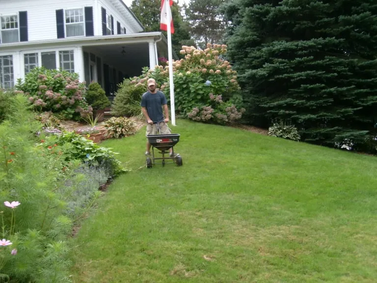 Professional landscaping services for outdoor upgrades across Salem, MA - Earth Landscape