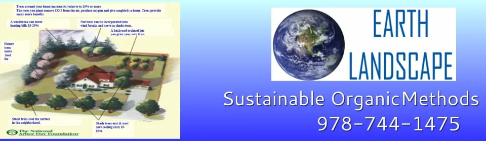 Top-rated lawn mowing service in Salem, MA - Earth Landscape