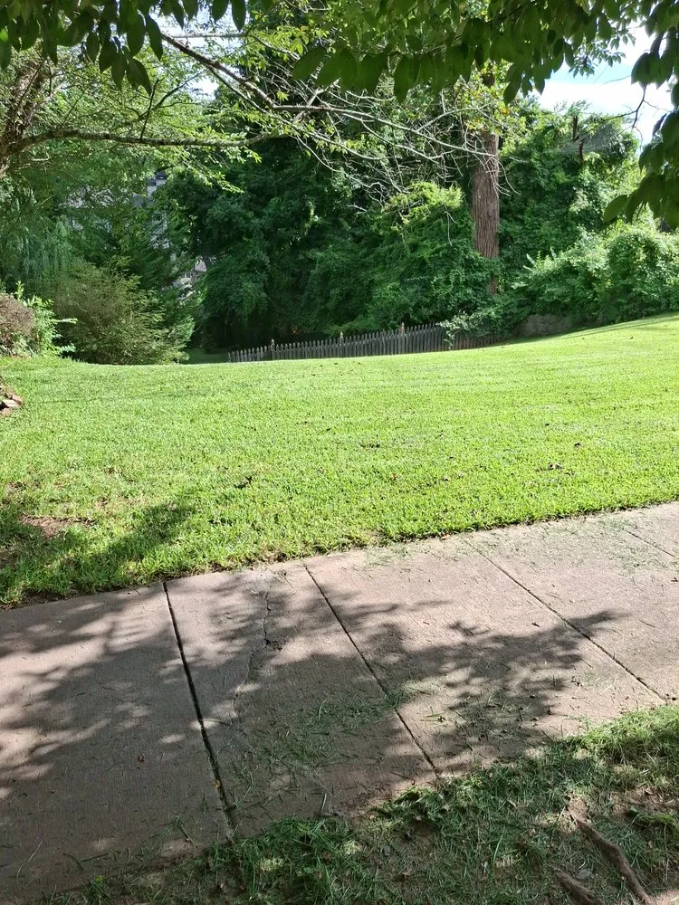 Expert yard cleanup service for outdoor upgrades across Atlanta, GA - Earth Lawn and Landscaping