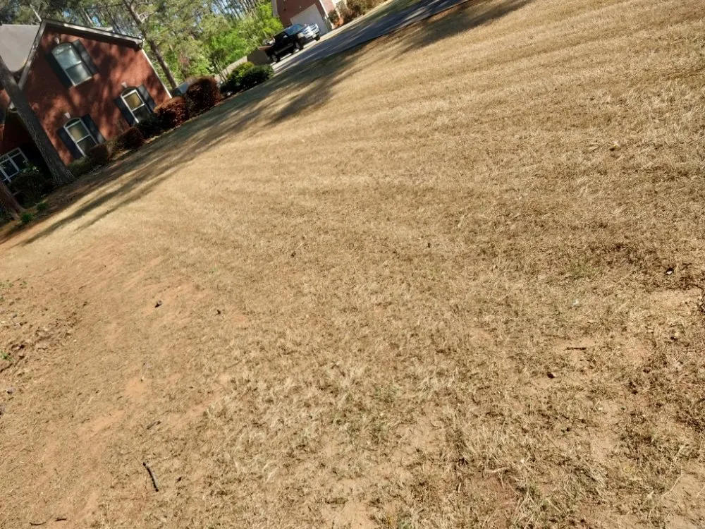 Custom residential landscaping in Atlanta, GA - Earth Lawn and Landscaping