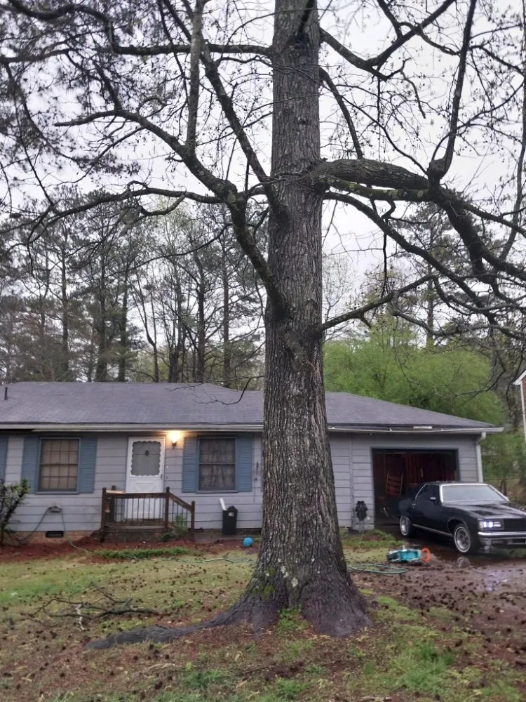 Custom landscape installation for outdoor upgrades across Atlanta, GA - Earth Lawn and Landscaping