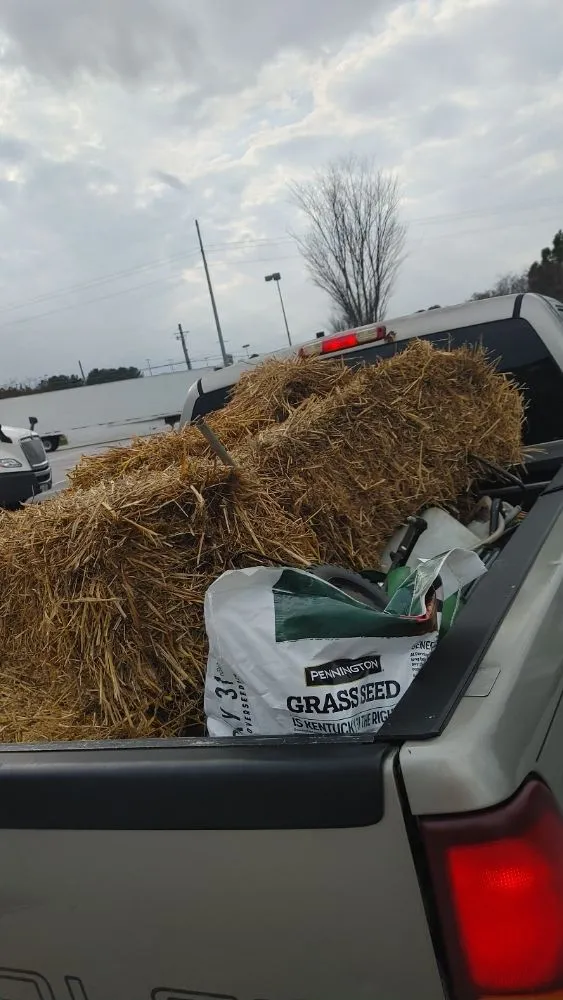 Professional outdoor landscaping in Atlanta, GA by Earth Lawn and Landscaping