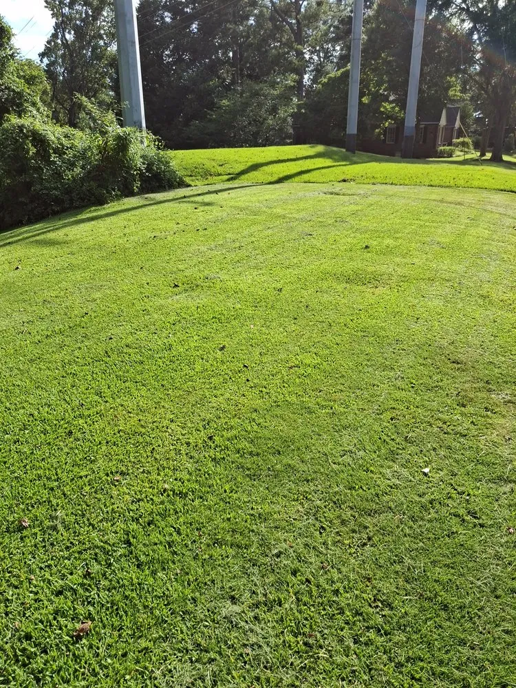 Professional yard cleanup service in Atlanta, GA - Earth Lawn and Landscaping