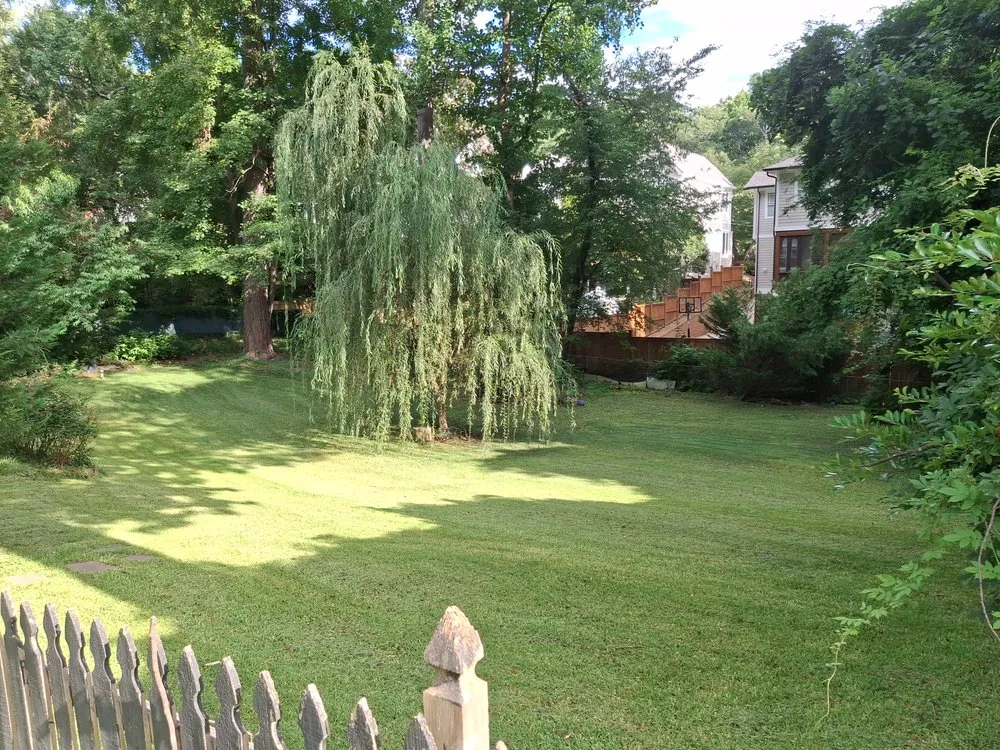 Affordable yard cleanup service for year-round maintenance across Atlanta, GA - Earth Lawn and Landscaping