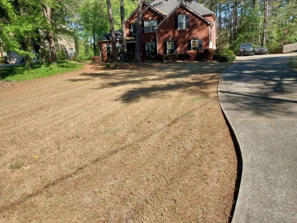 Local landscape installation for year-round maintenance across Atlanta, GA - Earth Lawn and Landscaping