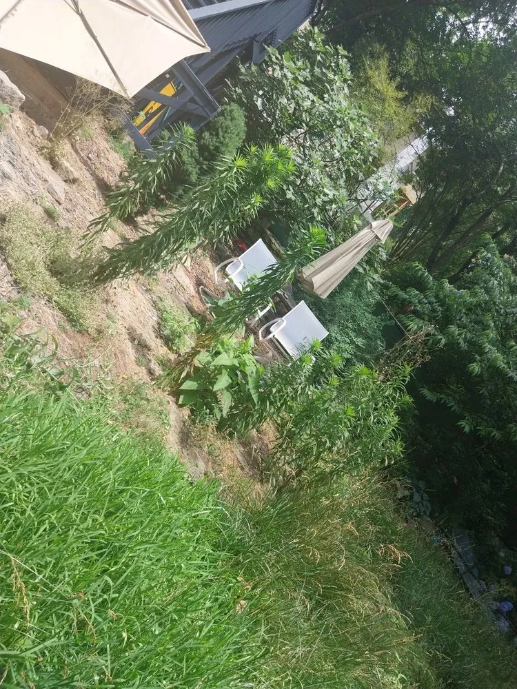 Expert garden landscaping experts serving Flowery Branch, GA - Earth Lawn and Landscaping