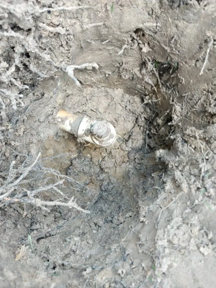 Top-rated landscaping services in Flowery Branch, GA - Earth Lawn and Landscaping