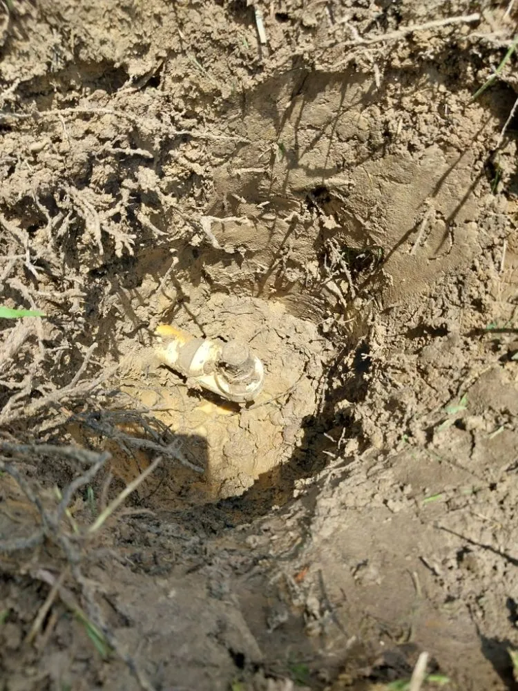 Professional landscaping services for residential properties in Flowery Branch, GA by Earth Lawn and Landscaping