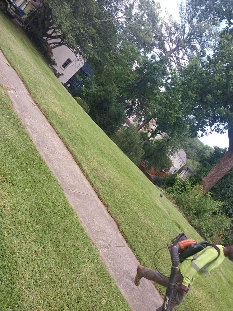 Professional landscape installation for outdoor upgrades across Flowery Branch, GA - Earth Lawn and Landscaping