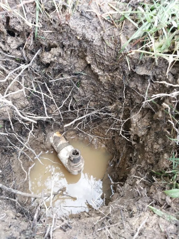 Local lawn care service experts serving Flowery Branch, GA - Earth Lawn and Landscaping