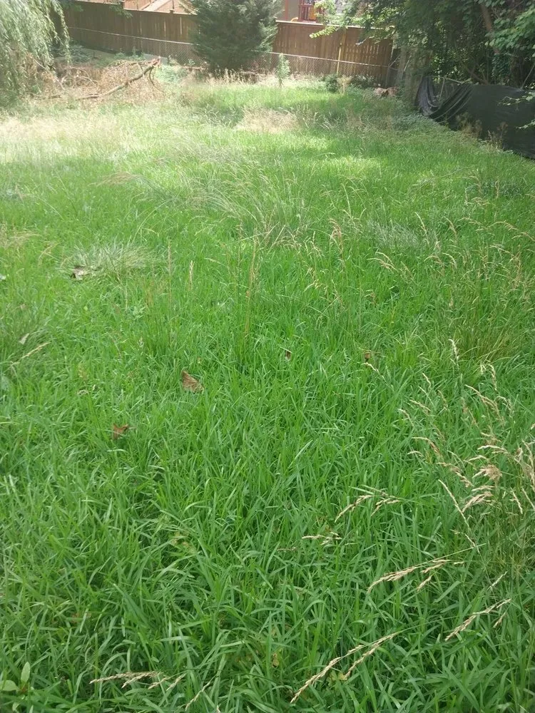 Expert lawn mowing service experts serving Flowery Branch, GA - Earth Lawn and Landscaping