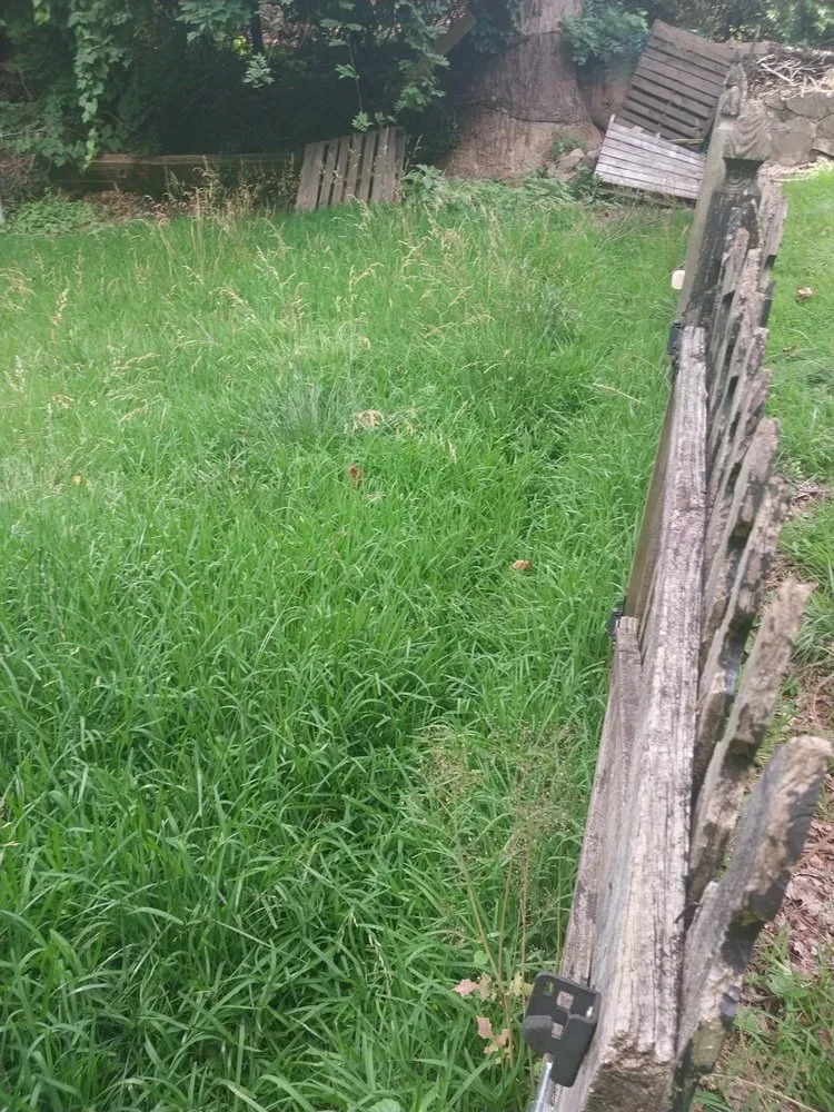 Trusted lawn mowing service in Flowery Branch, GA - Earth Lawn and Landscaping