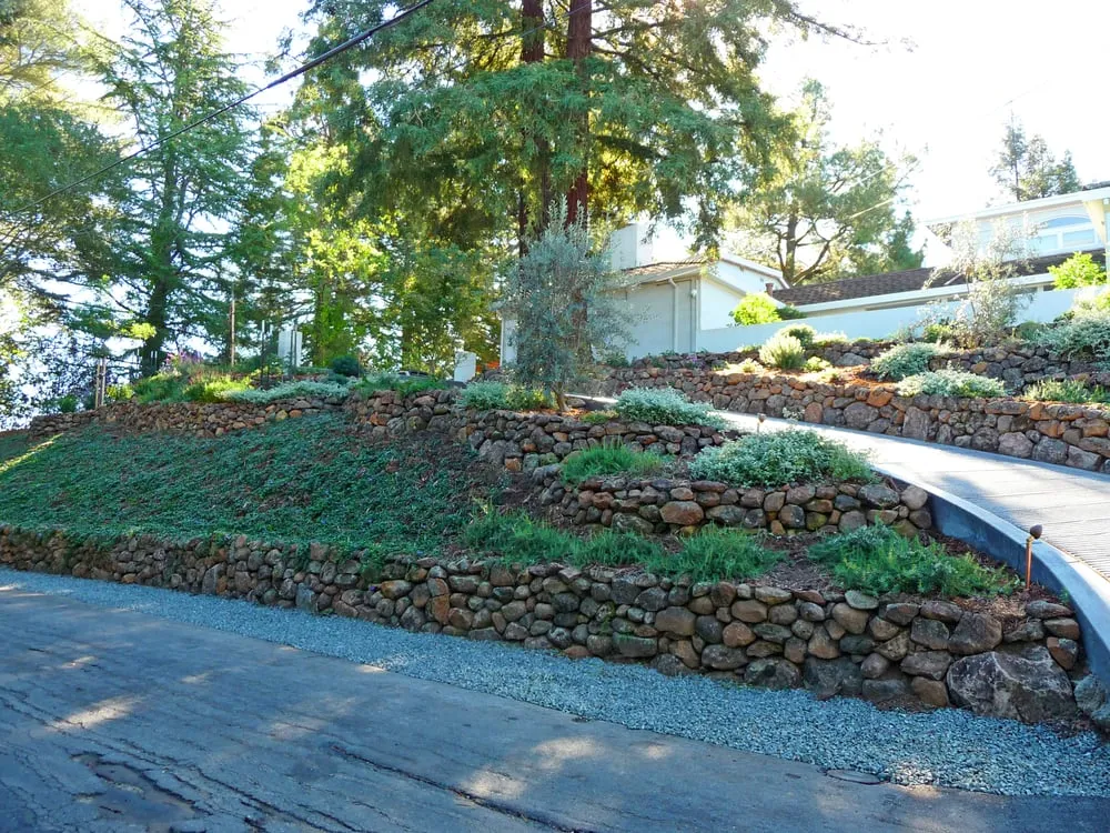 Custom yard cleanup service in Martinez, CA by Earth Lines Landscape Development