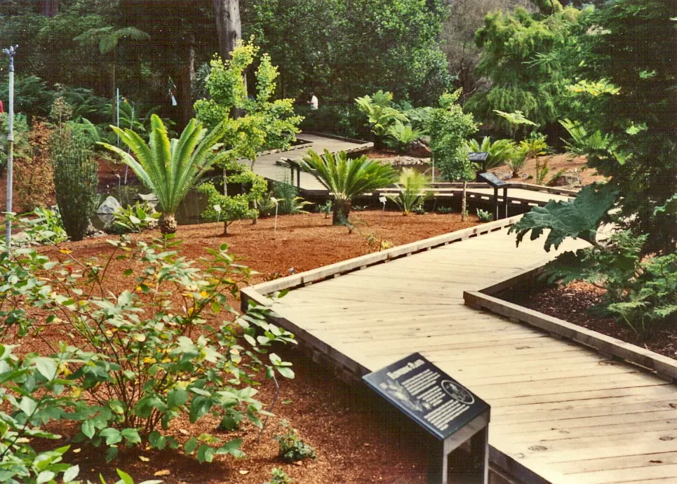 Expert yard cleanup service in Martinez, CA by Earth Lines Landscape Development