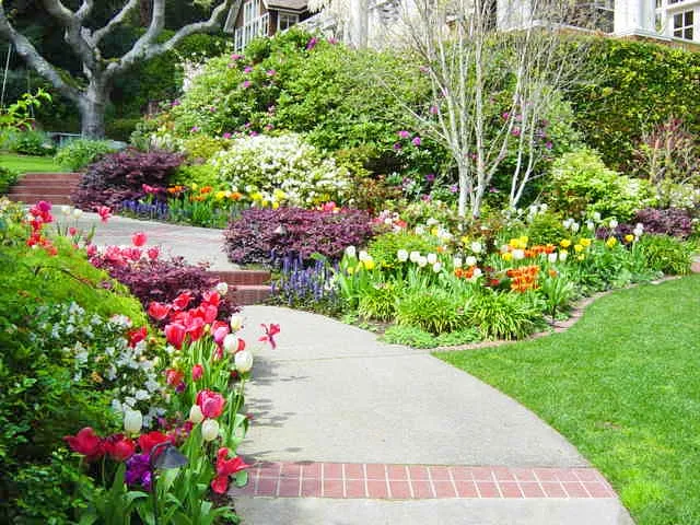 Local lawn mowing service in Martinez, CA - Earth Lines Landscape Development