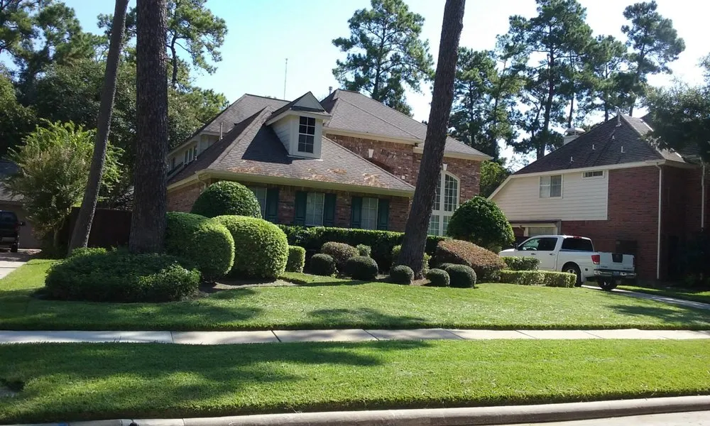 Top-rated landscaping services in Houston, TX by Earth Lovers