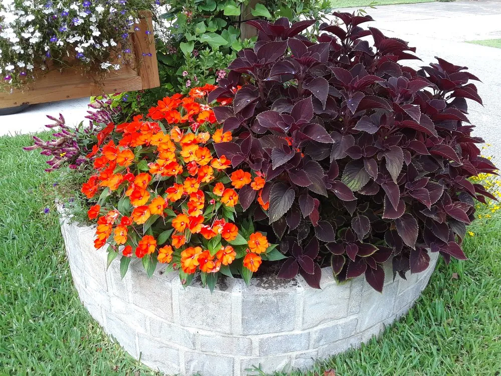 Top-rated landscape installation experts serving Houston, TX - Earth Lovers