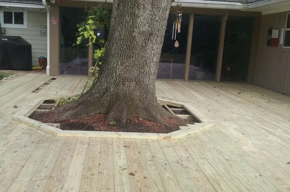 Professional garden landscaping in Houston, TX - Earth Lovers