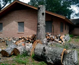 Expert garden landscaping in Houston, TX - Earth Lovers