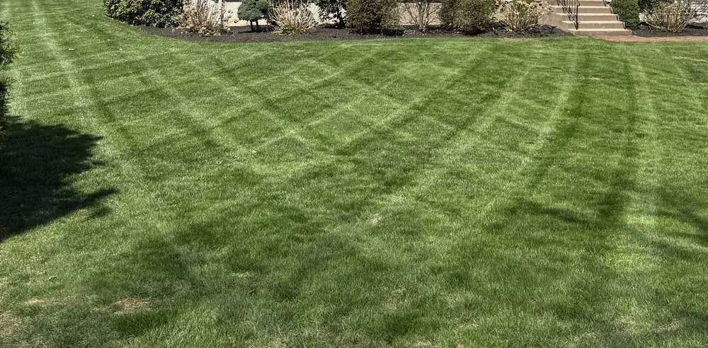 Local residential landscaping in Ellington, CT - Earth Management Solutions