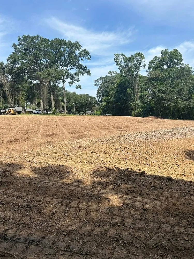 Affordable yard cleanup service for year-round maintenance in Sunset, LA by Earth Moving Solutions