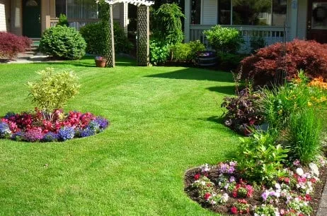 Local lawn mowing service in San Diego, CA by Earth One Landscape