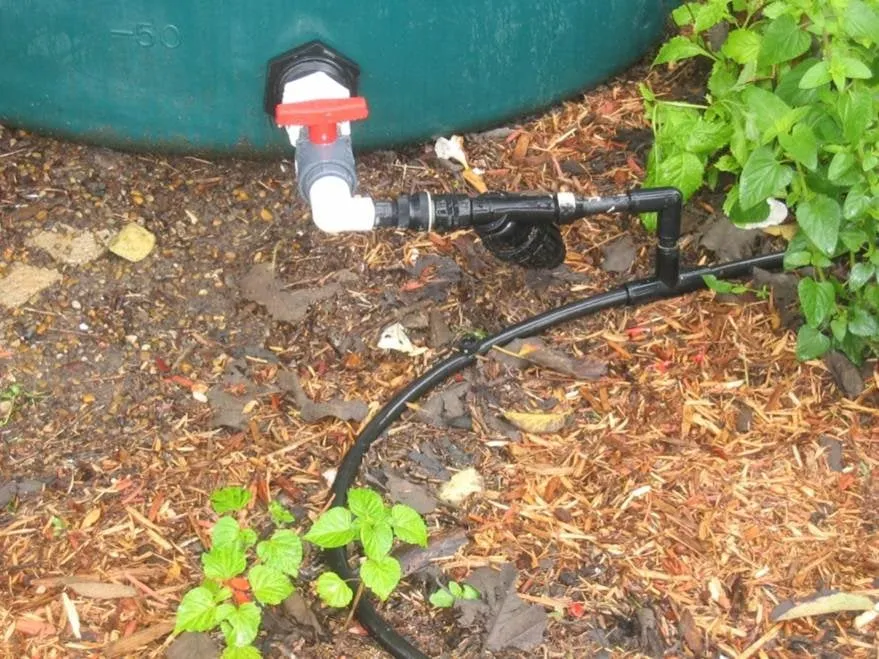 Expert landscape installation for residential properties in San Diego, CA by Earth One Landscape