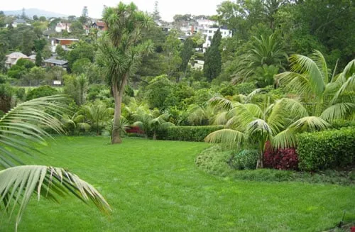 Affordable yard cleanup service in San Diego, CA by Earth One Landscape