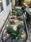 Affordable yard cleanup service in San Diego, CA - Earth One Landscape