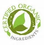 Reliable lawn care service for outdoor upgrades across San Diego, CA - Earth One Landscape