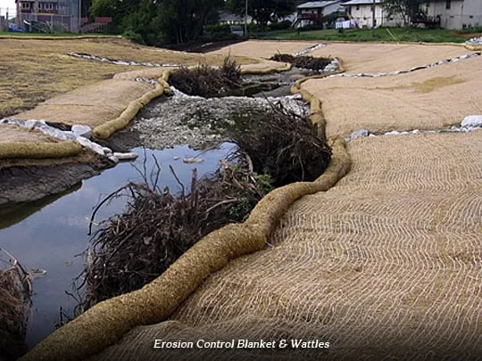 Reliable yard cleanup service for beautiful yards in San Diego, CA by Earth One Landscape