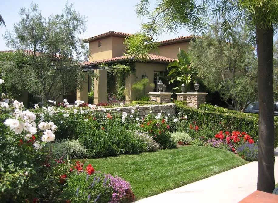 Expert yard cleanup service for year-round maintenance across San Diego, CA - Earth One Landscape
